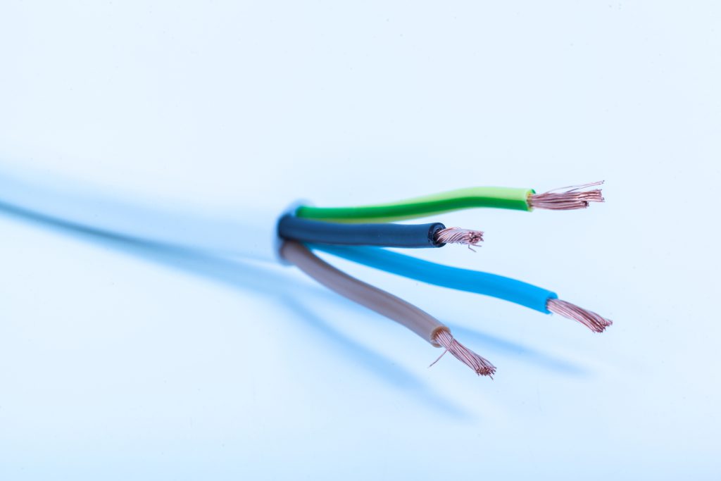 cable rongé par des rats ou souris