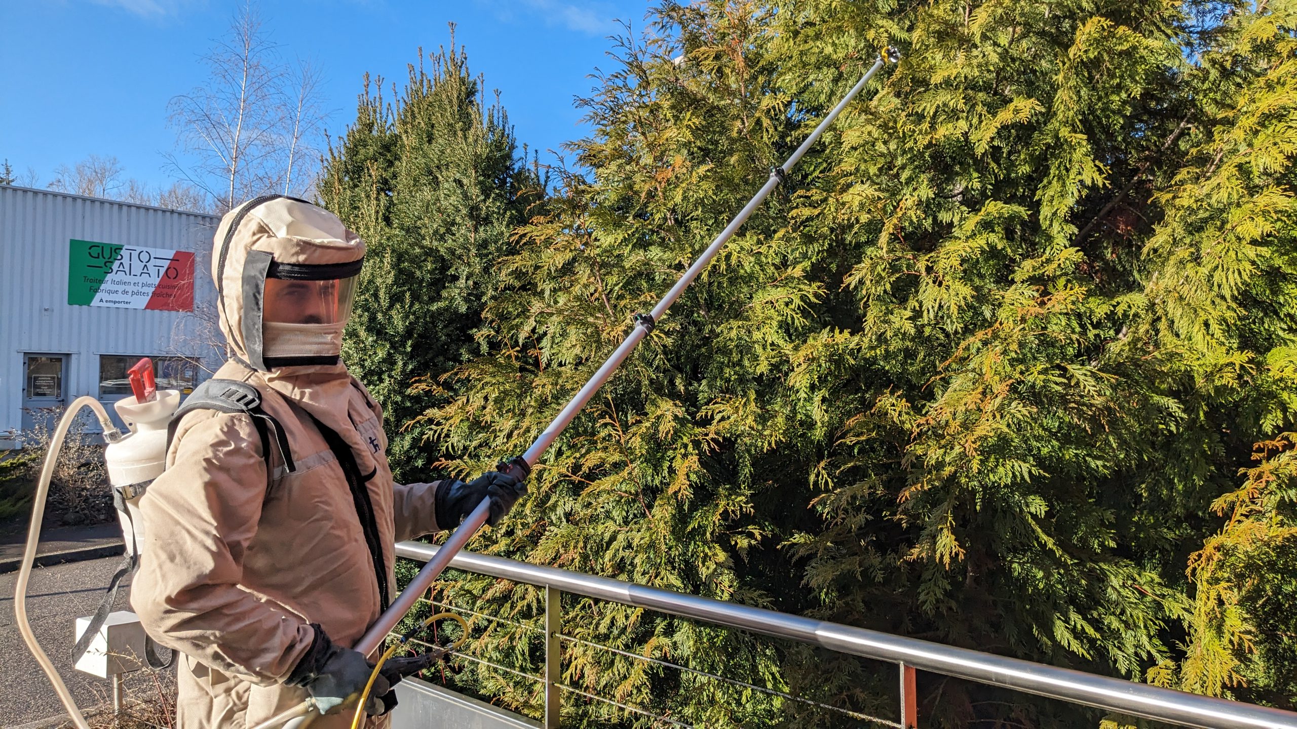 desinsectisation produit ecologique guepe et frelon desinsectisation produit ecologique guepe et frelon