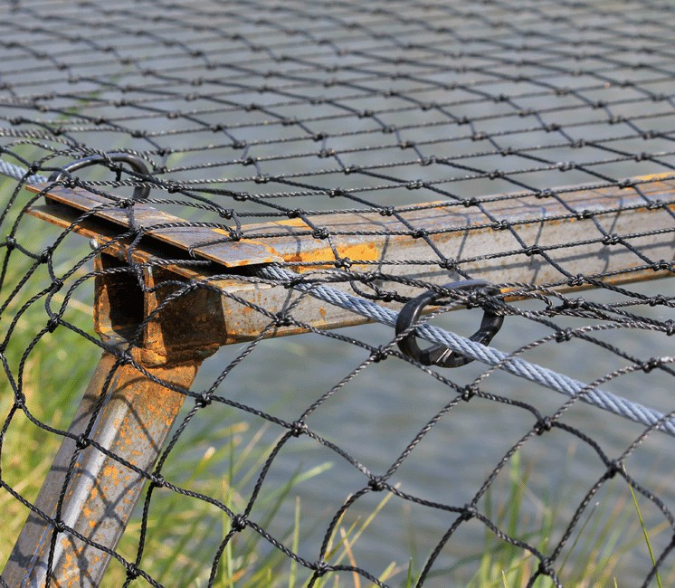 filet anti pigeons filet anti pigeons